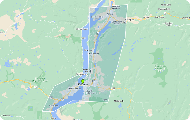 Freezer Door Gaskets